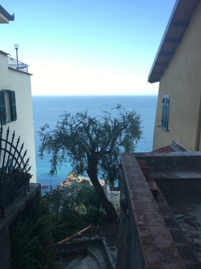 House In Grimaldi. Spectacular View Over The French Riviera! Grimaldi  Buitenkant foto